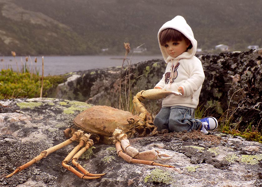 Putting a Crab Back Together